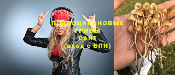 мет Балахна