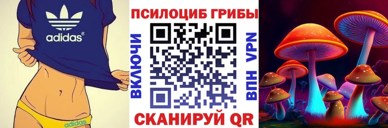 Псилоцибиновые грибы Cubensis  Купить где  Гурьевск 